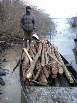 Transport ilegal de material lemnos pe fluviul Dunărea